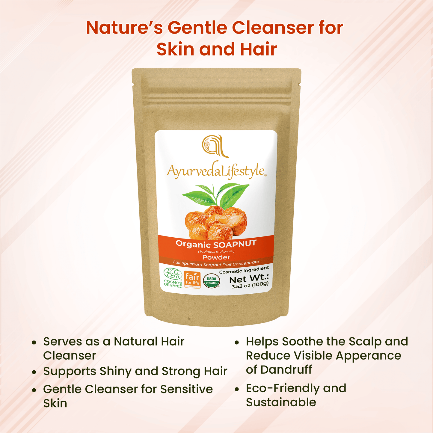 Organic SOAPNUT Powder