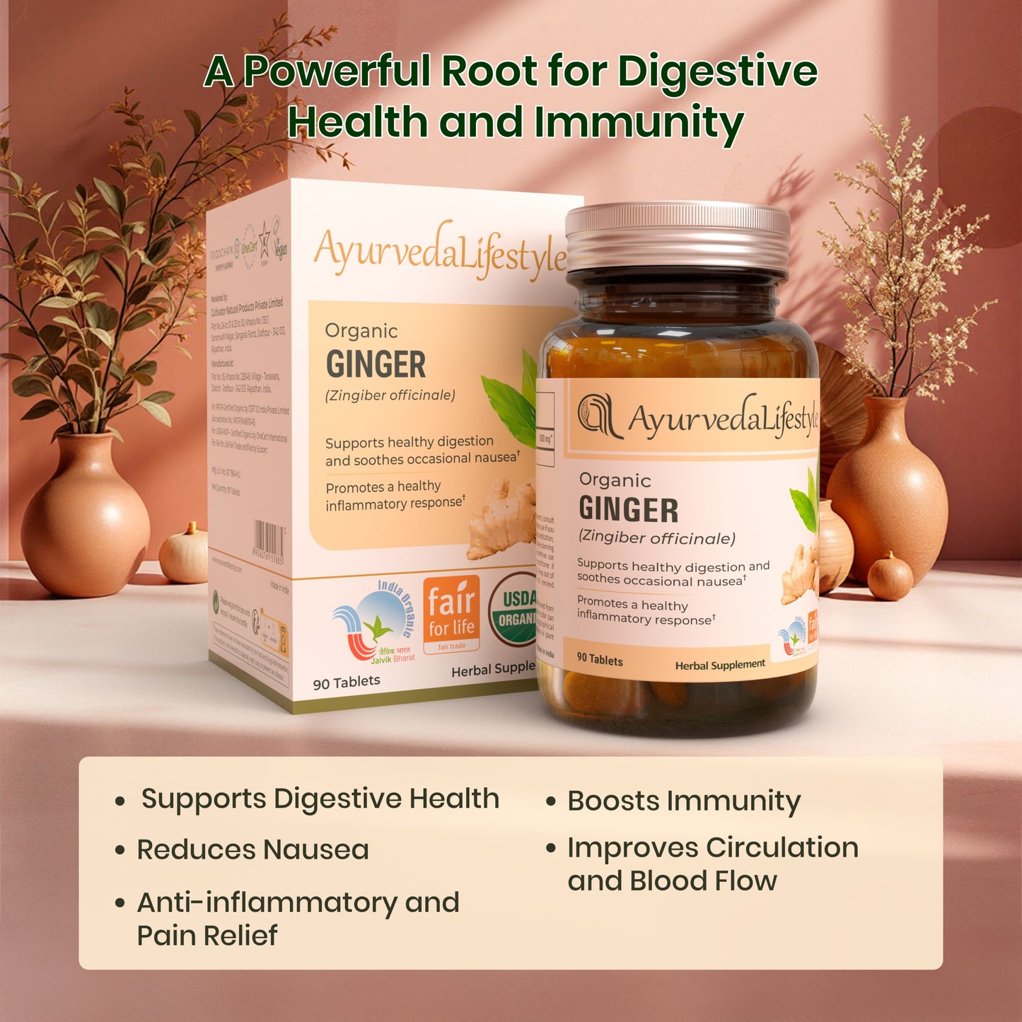 Organic Ginger Tablet