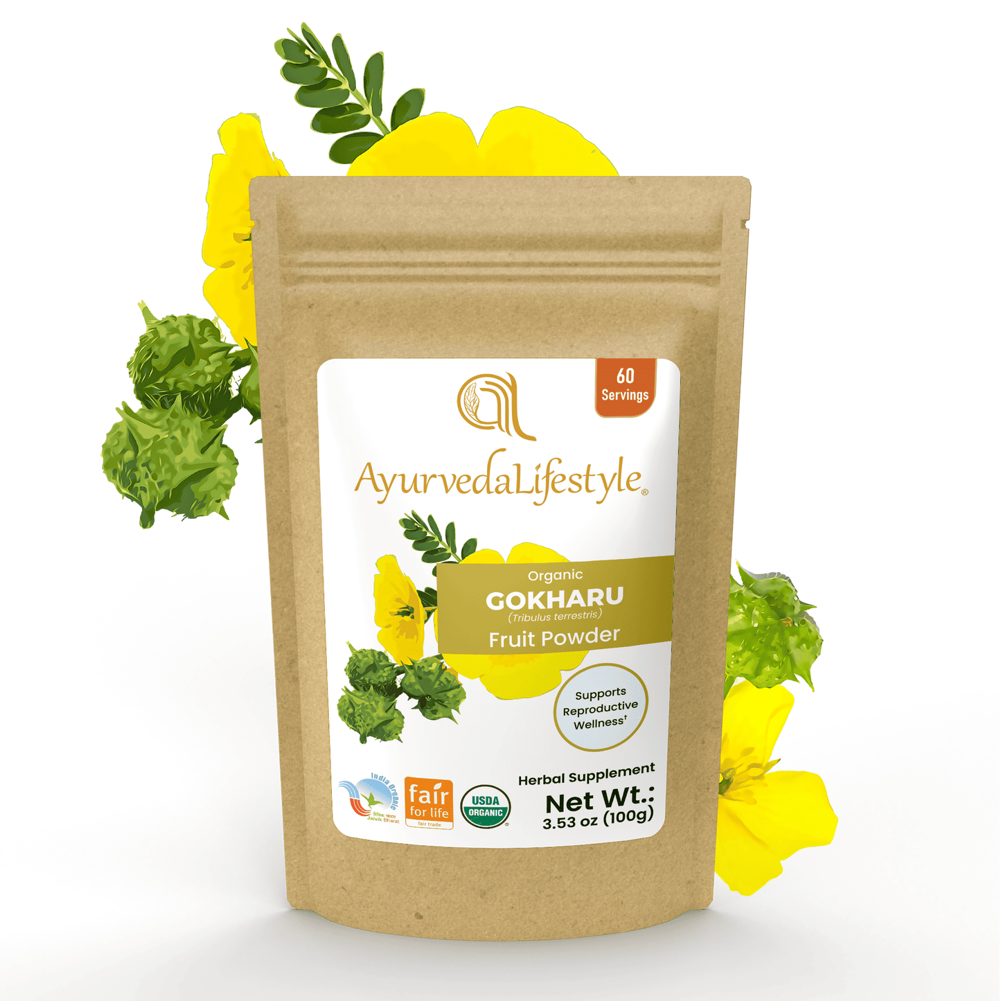Organic GOKHARU Fruit Powder