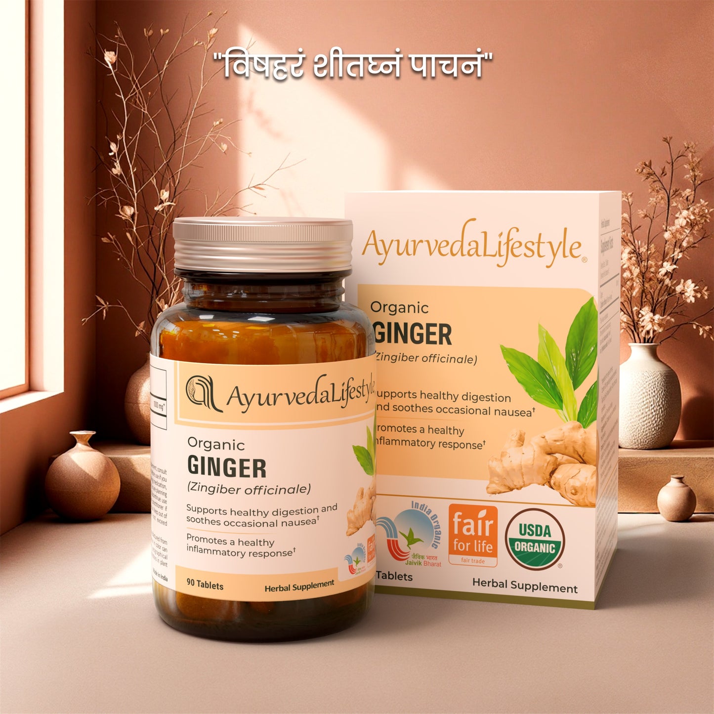 Organic Ginger Tablet 
