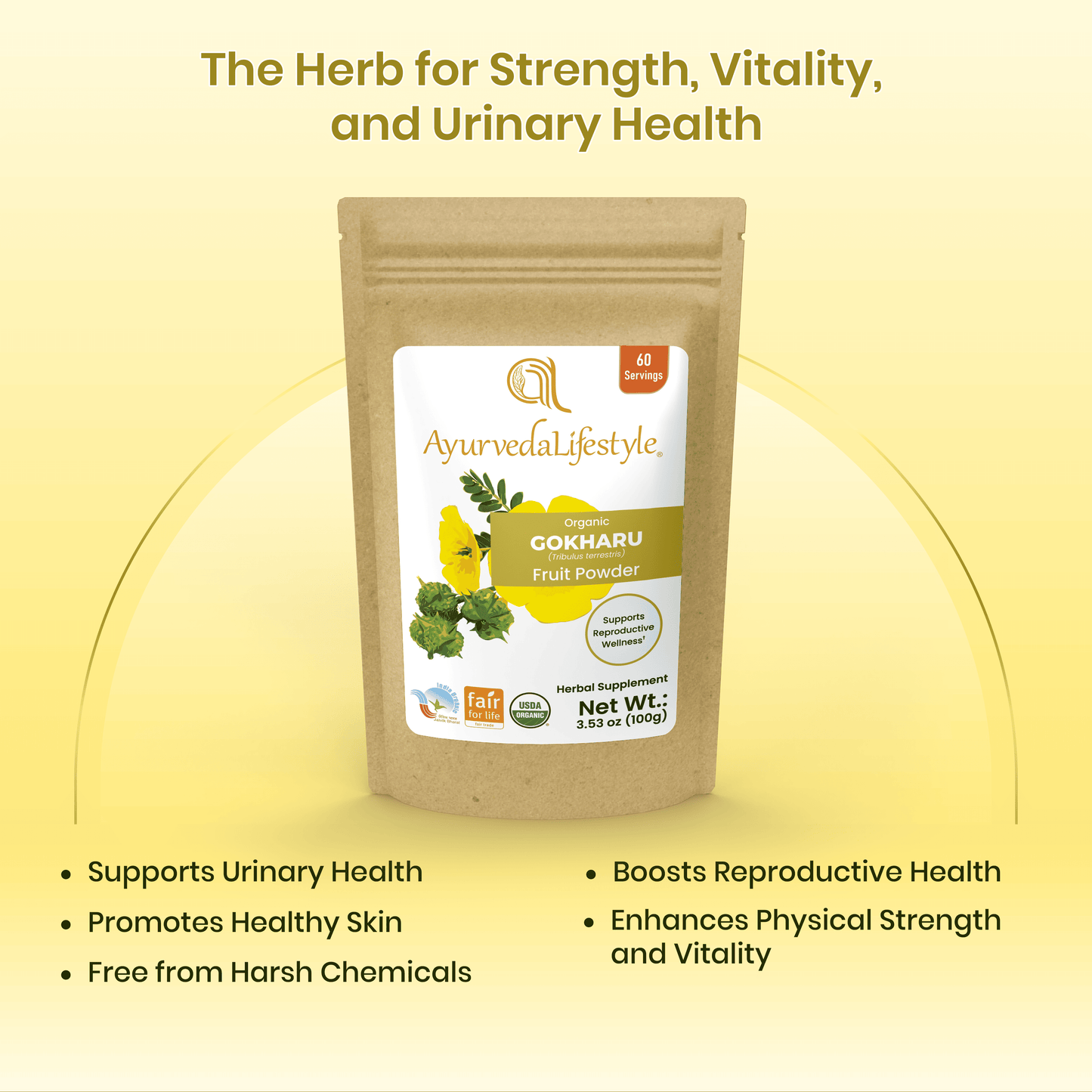 Organic GOKHARU Fruit Powder