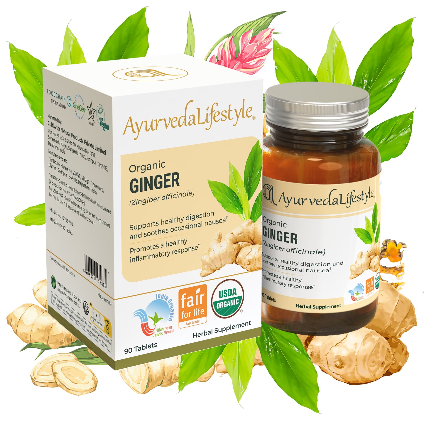 Organic Ginger Tablet 