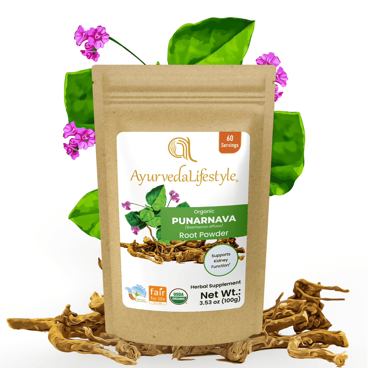 Organic PUNARNAVA Root Powder